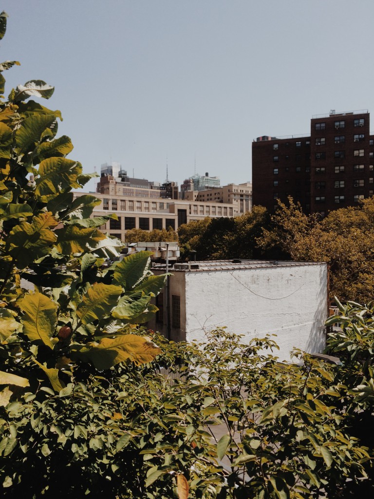 Processed with VSCOcam with m5 preset